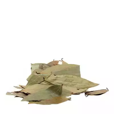 Bay Leaves (Tejpata)